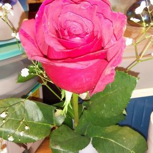 Meet your Posher, Mercedes